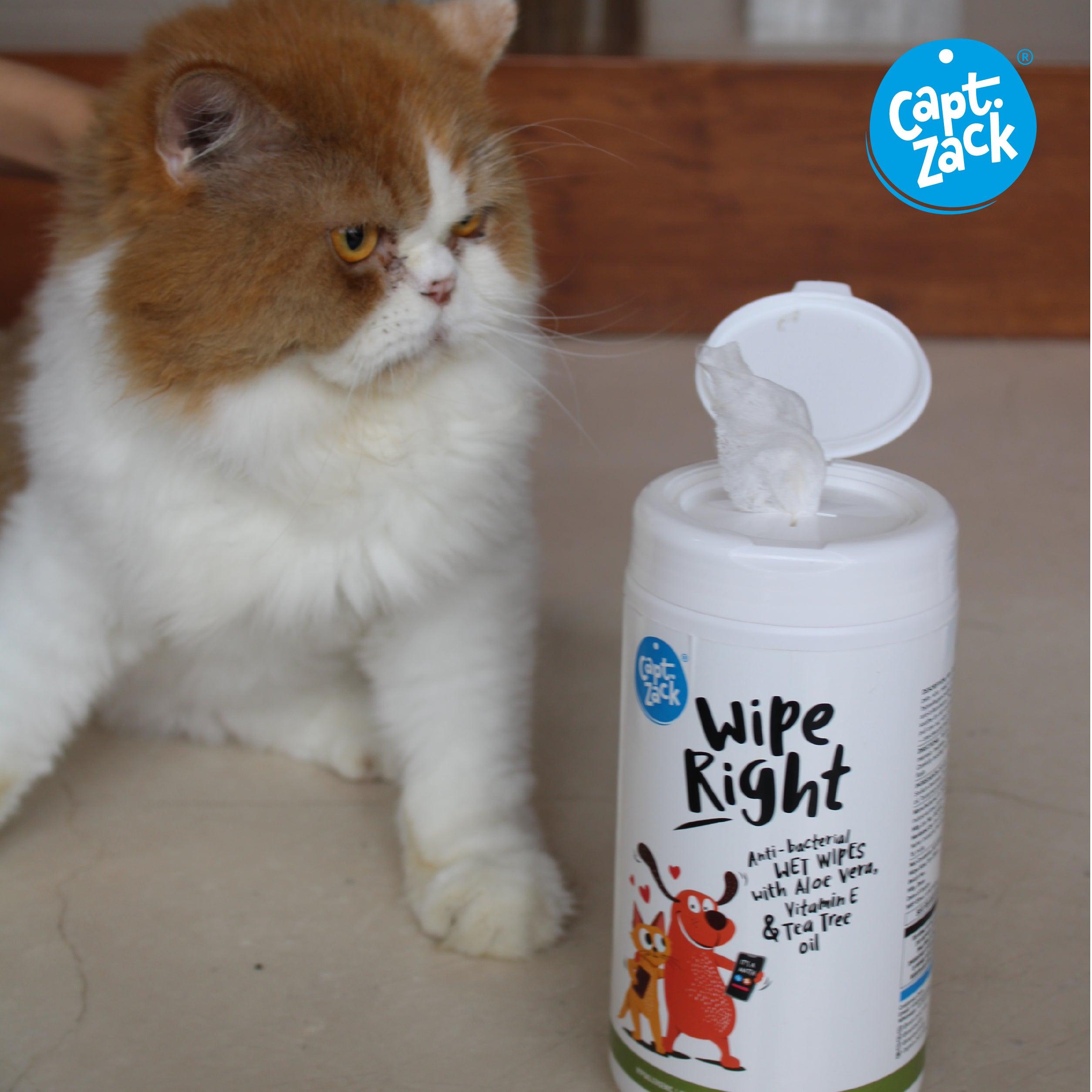 Wipe Right Anti-Bacterial Wet Wipes For Dogs & Cats - Captain Zack