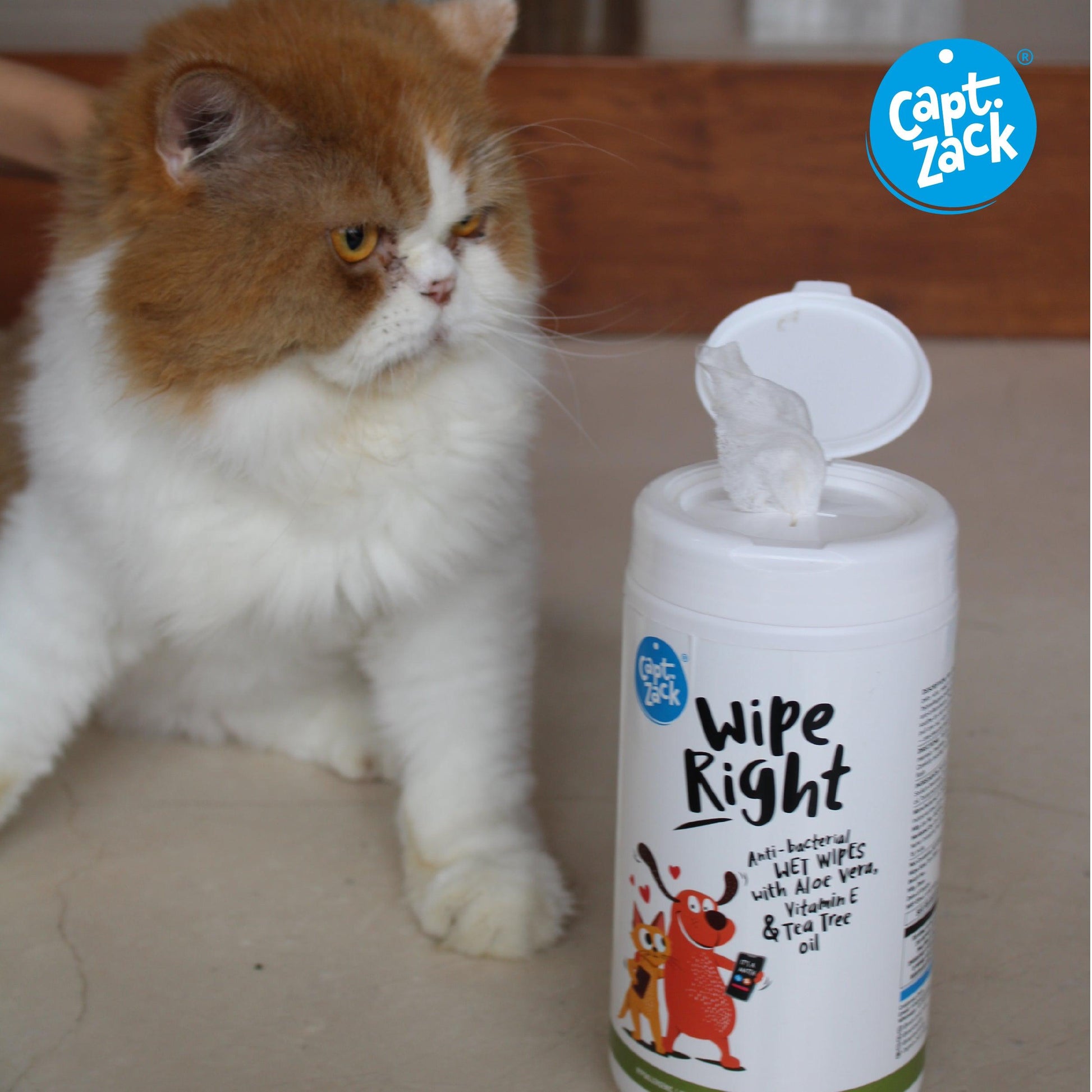 Wipe Right Anti-Bacterial Wet Wipes For Dogs & Cats - Captain Zack